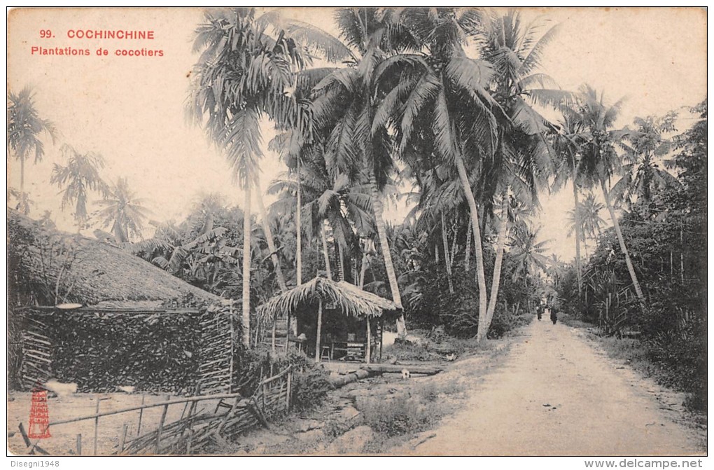 04922 "COCHINCHINE - VIETNAM - PLANTATIONS DE COCOTIERS" ANIMATA. CART. POST. ORIG. NON SPEDITA. - Vietnam