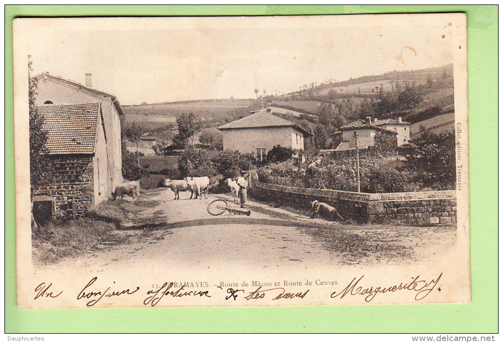 TRAMAYES - Route De Mâcon Et Route De Cenves - Animée Avec Vaches, Vélo  - Peu Courant  - Précurseur - Etat - 2 Scans - Autres & Non Classés