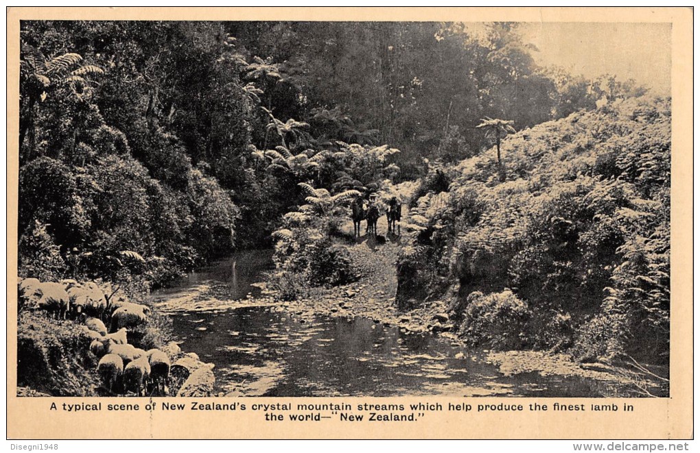 04926 "A TIPICAL SCENE OF NEW ZEALAND 'S CRYSTAL MOUNTAIN STREAMS ......" ANIMATA. CART. POST. ORIG. NON SPEDITA. - New Zealand