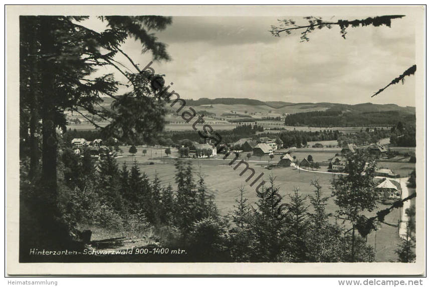 Hinterzarten - Foto-AK - Verlag E. Kresse Hinterzarten Gel. 1931 - Hinterzarten