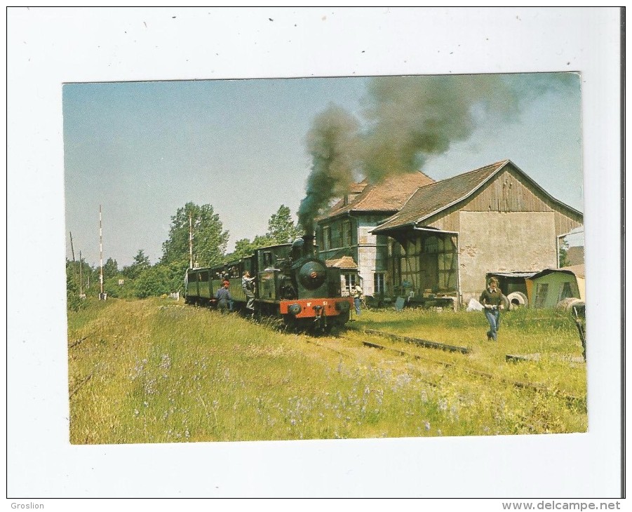 EN GARE DE BURNHAUPT (68) 17 LIGNE CERNAY SENTHEIM LOCOMOTIVE MEUSE N° 51 ET RAME EX PALAVAS - Sonstige & Ohne Zuordnung