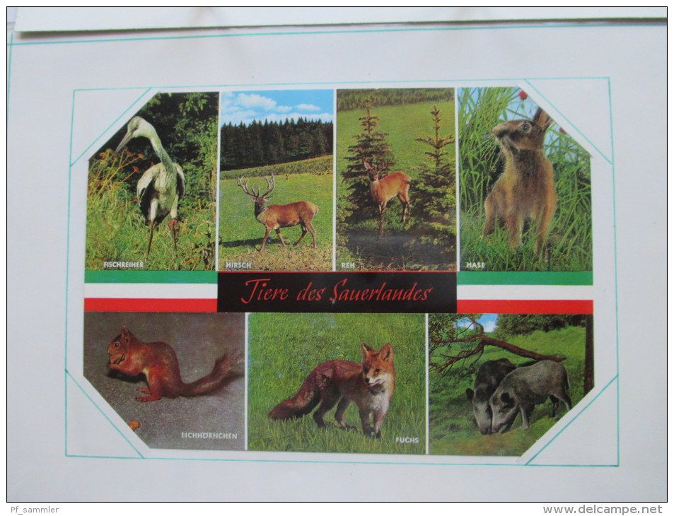 Motivsammlung Tiere / Pflanzen / Natur. Belege / Sonderstempel. 1980 / 90er Jahre. 75 Belege + Marken! zum Weitersammeln