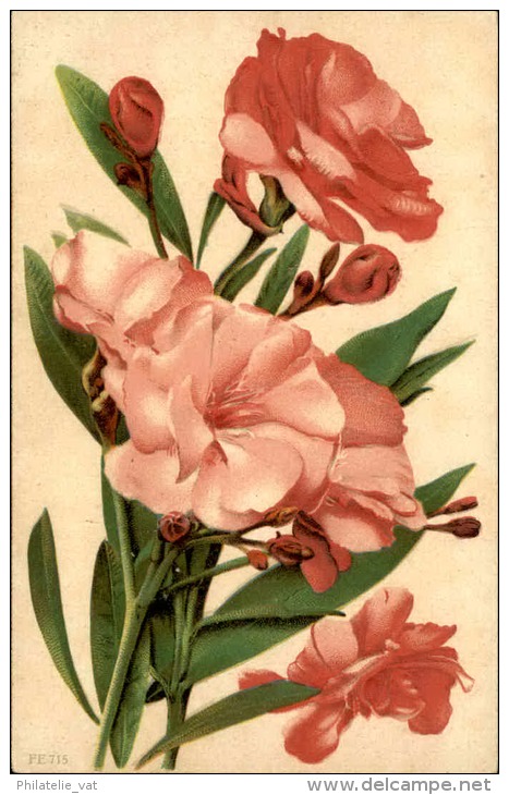 FLEURS - Détaillons Collection - A Voir - 11154 - Flowers