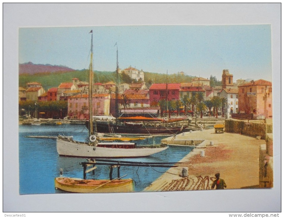 C P COULEUR  ANIMEE  ANNEES 1900  STE MAXIME SUR MER UN COIN DU PORT - Sainte-Maxime