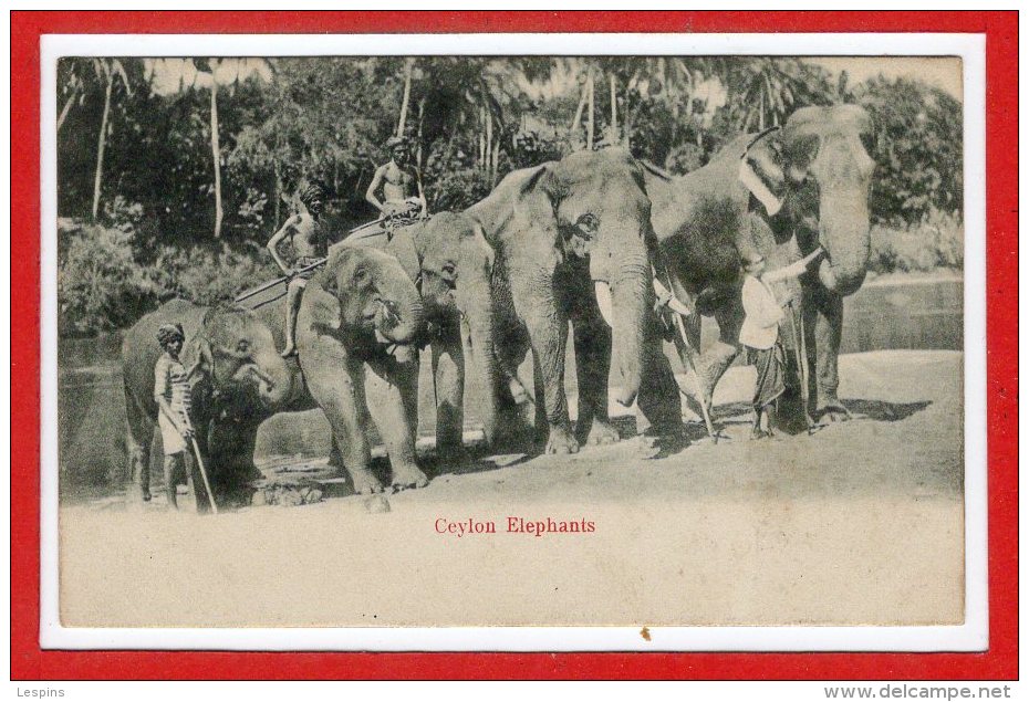 ASIE --  SRI LANKA - ( CEYLON )  - - Elephants - Sri Lanka (Ceylon)