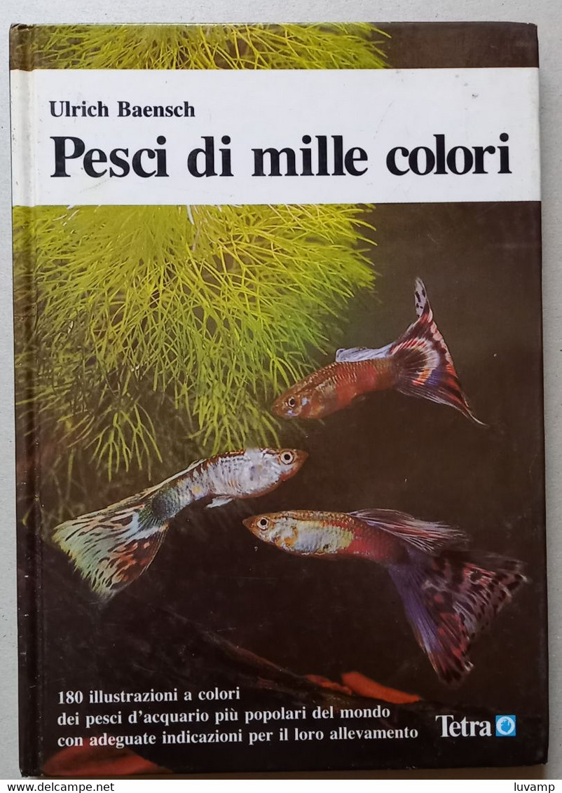 PESCI DI MILLE COLORI - EDIZ TETRA-VERLAG 1983  ( CART 76) - Andere & Zonder Classificatie