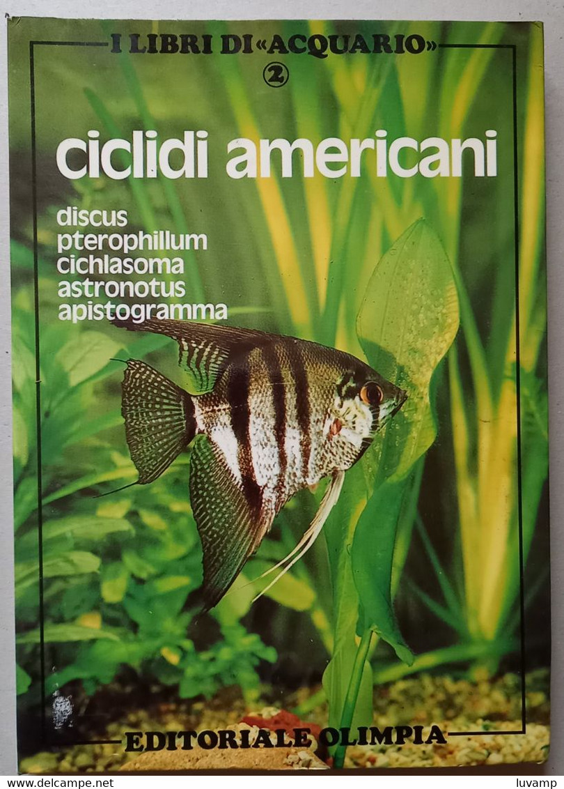 CICLIDI AMERICANI - EDIZIONE OLIMPIA  DEL 1983 ( CART 76)) - Other & Unclassified