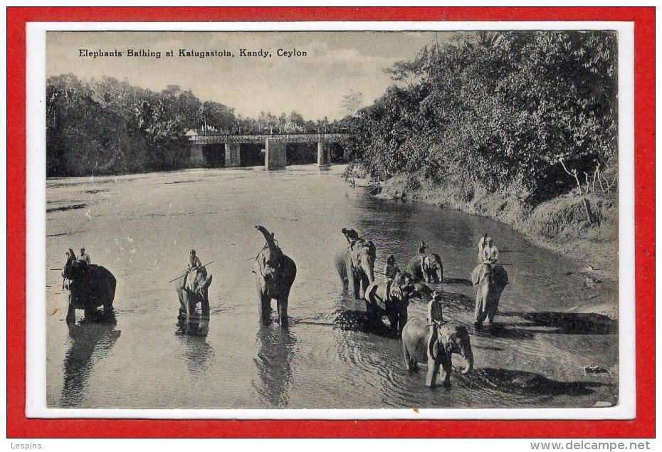 ASIE --  SRI LANKA - ( CEYLON )  -  Elephants Bathing At Katugastota , Kandy - Sri Lanka (Ceylon)