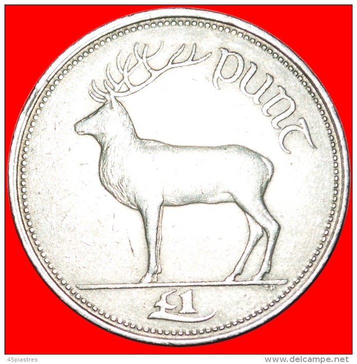 § DEER: IRELAND &#9733; 1 POUND 1995! LOW START &#9733; NO RESERVE! - Irlande