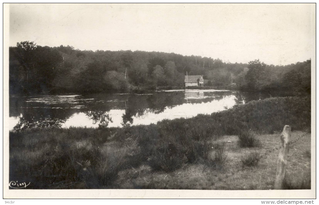 CPASMPF(15) SAINT MAMET L Etang Et Le Moulin De Vic - Saint-Mamet-la-Salvetat