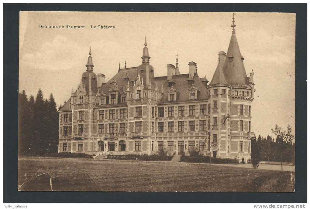 CPA - Domaine De ROUMONT - Le Château  // - Bertogne