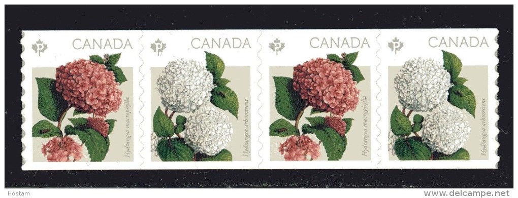 CANADA  2016,  FLOWERS: HYDRANGEAS,  Pair  Mnh - Coil Stamps