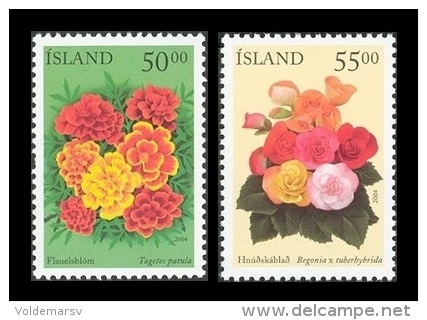 Iceland 2004 Mih. 1051/52 Summer Flowers MNH ** - Neufs