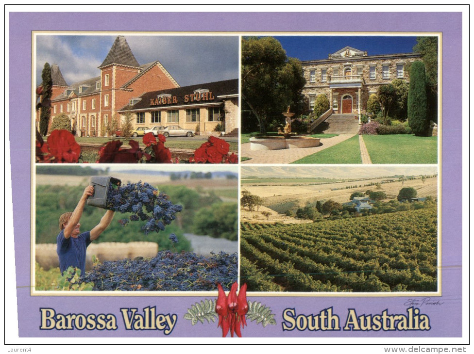 (446) Australia - SA - Barossa Valley - Barossa Valley