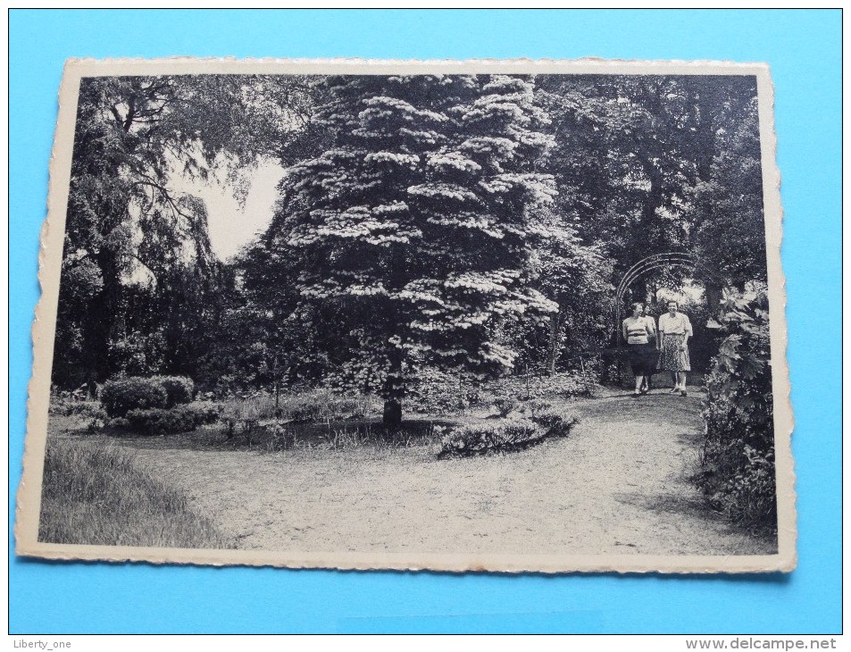 Maison De Repos Et De Convalescence De L'Y.W.C.A. - Le Sapin Bleu ( Thill ) Anno 1956 ( Zie Foto Voor Details ) !! - Retie