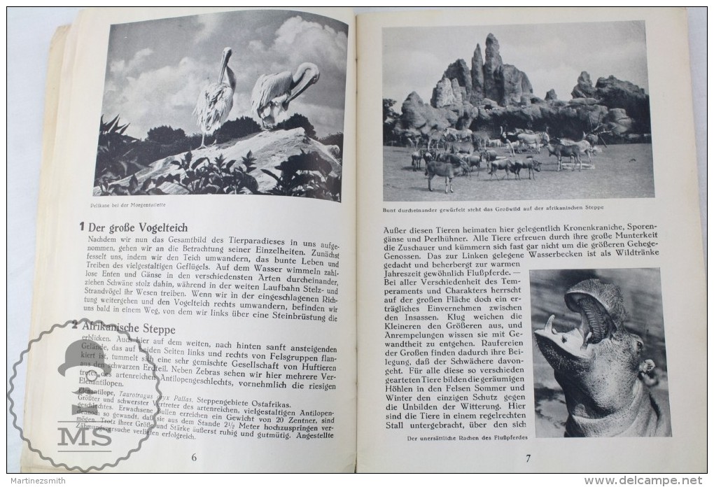 Old 1936 German Zoo Book: Führer Durch - Carl Hagenbecks Tierpark Parc Zoologique - Animals