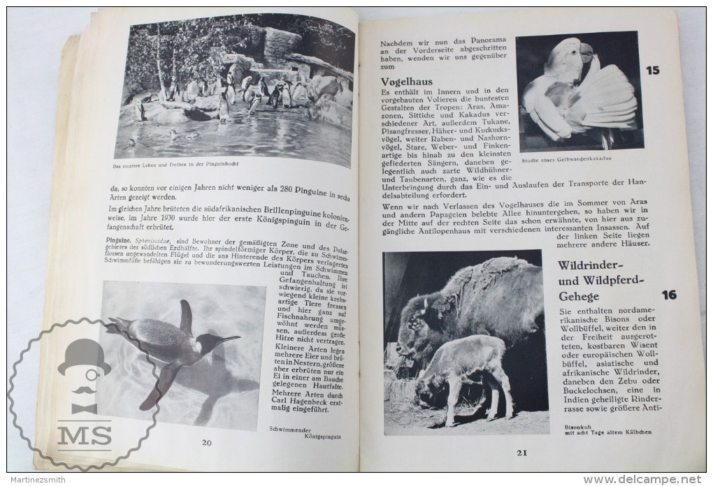 Old 1936 German Zoo Book: Führer Durch - Carl Hagenbecks Tierpark Parc Zoologique - Animals