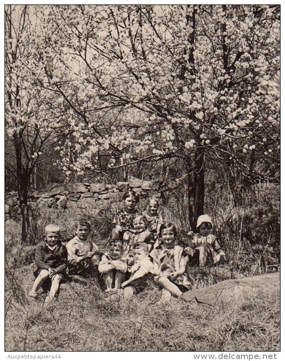 Photo Originale Enfant - Groupe D'enfant Dans La Nature Sous Arbre En Fleurs - Personnes Anonymes