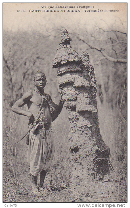 Afrique - Soudan Haute-Guinée - Type - Termitière - Curiosité - Sudan