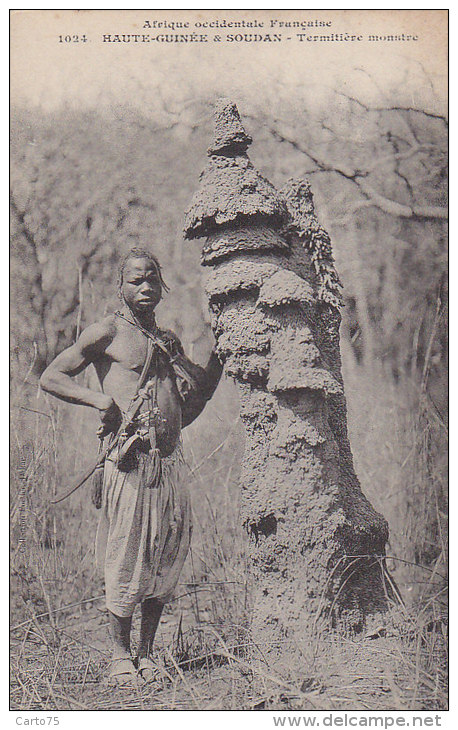 Afrique - Soudan Haute-Guinée - Type - Termitière - Curiosité - Soudan