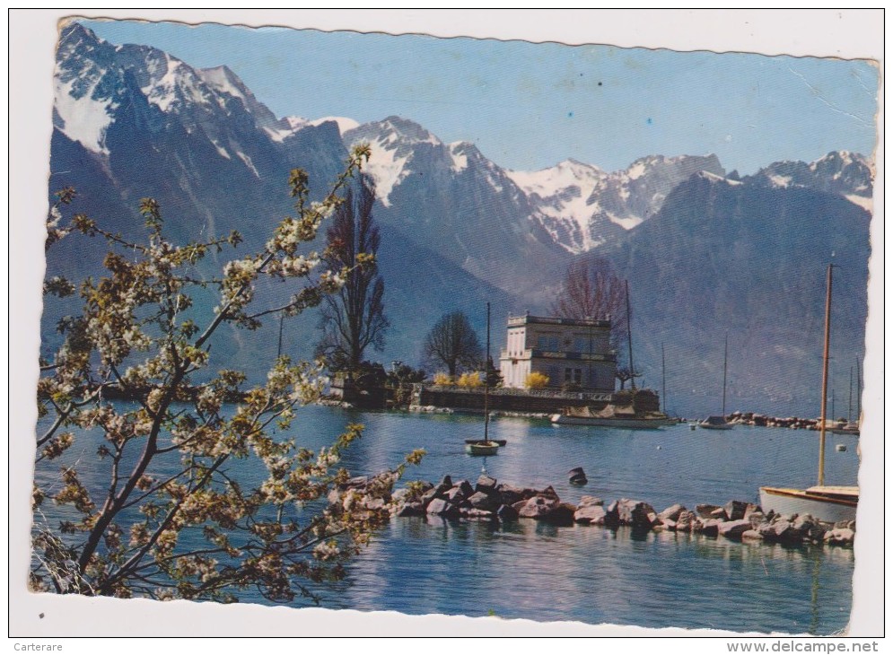 SUISSE,SWITZERLAND,SVIZZERA,SCHWEIZ,HELVETIA,SWISS ,VAUD,MONTREUX,,VUE AERIENNE,clarens,en 1962 - Montreux