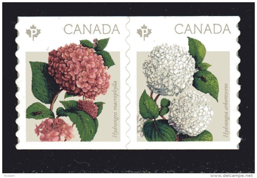 CANADA  2016,  FLOWERS: HYDRANGEAS   Pair Of Coil  Mnh - Roulettes