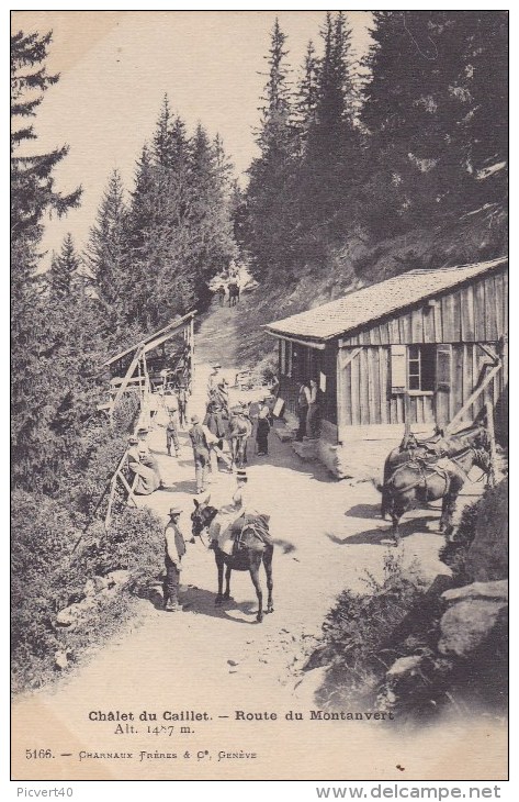 Chalet Du Caillet,route Du  Montanvert - Autres & Non Classés