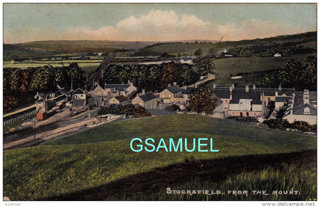 Angleterre &ndash; Northumberlland - Stocksfield - From The Mount - (Gare). - (voir Scan). - Autres & Non Classés