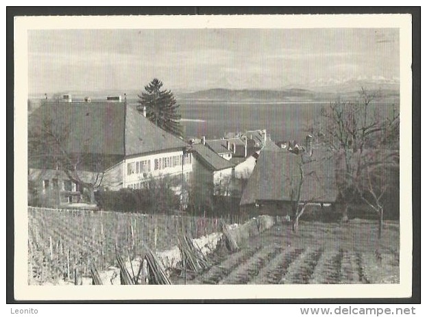 HAUTERIVE FR Memoriam Soldats Boudry 1953 - Hauterive