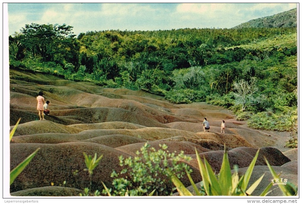 Ile Maurice - Mauritius - Chamarel - La Terre 7 Couleurs - Maurice