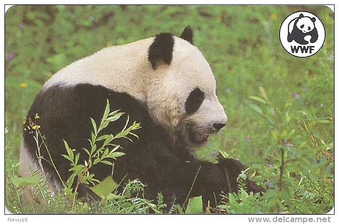 Malawi - MTN - Giant Panda Bear Animal 5 (Fake ) - 100Units - Malawi
