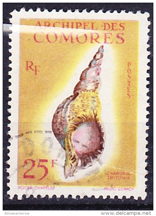 2016-0253 Comores Yvert 24 Oblitéré O, Rayon Blanc Du Au Scan - Used Stamps