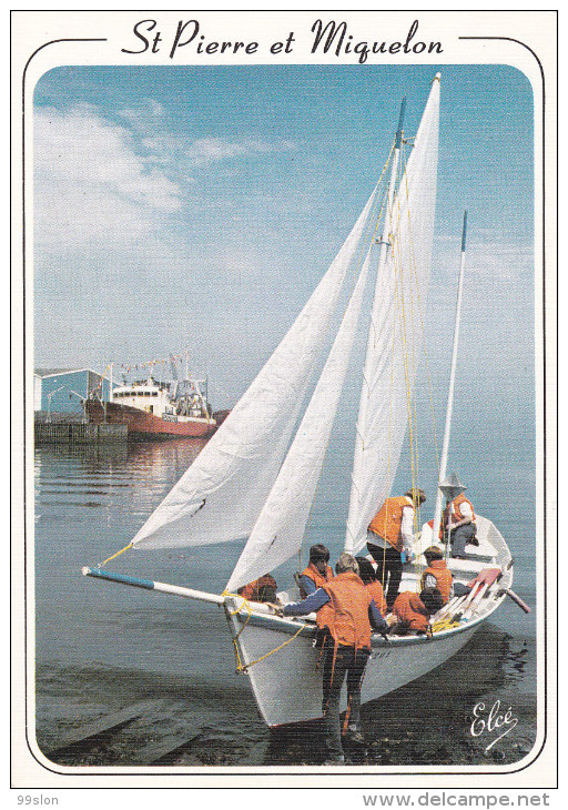 SAINT-PIERRE-et-MIQUELON - Doris De L'Ecole D'Apprentissage Maritime - Saint-Pierre-et-Miquelon