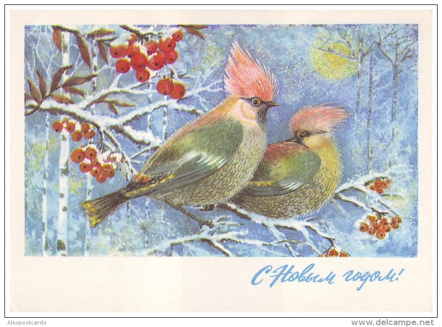 WAXWING BIRDS, RED ASHBERRY. "HAPPY NEW YEAR!" (USSR, 1975 Unused Postal Stationery Card) - Vogels