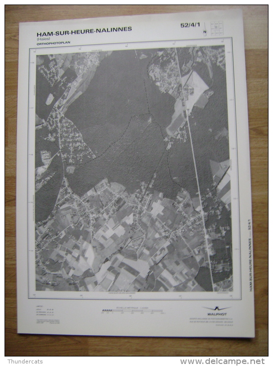 GRAND PHOTO VUE AERIENNE 66 Cm X 48 Cm De 1979  HAM SUR HEURE NALINNES HAIES - Cartes Topographiques
