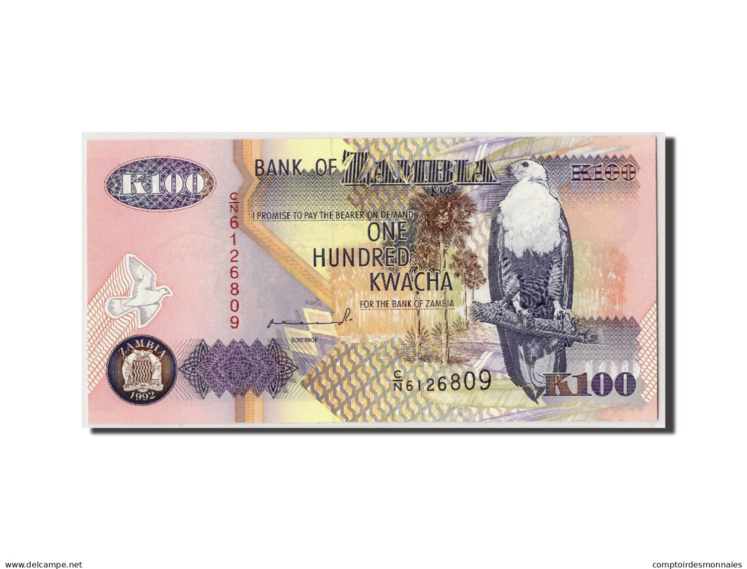 Billet, Zambie, 100 Kwacha, 1992, Undated, KM:38a, NEUF - Sambia