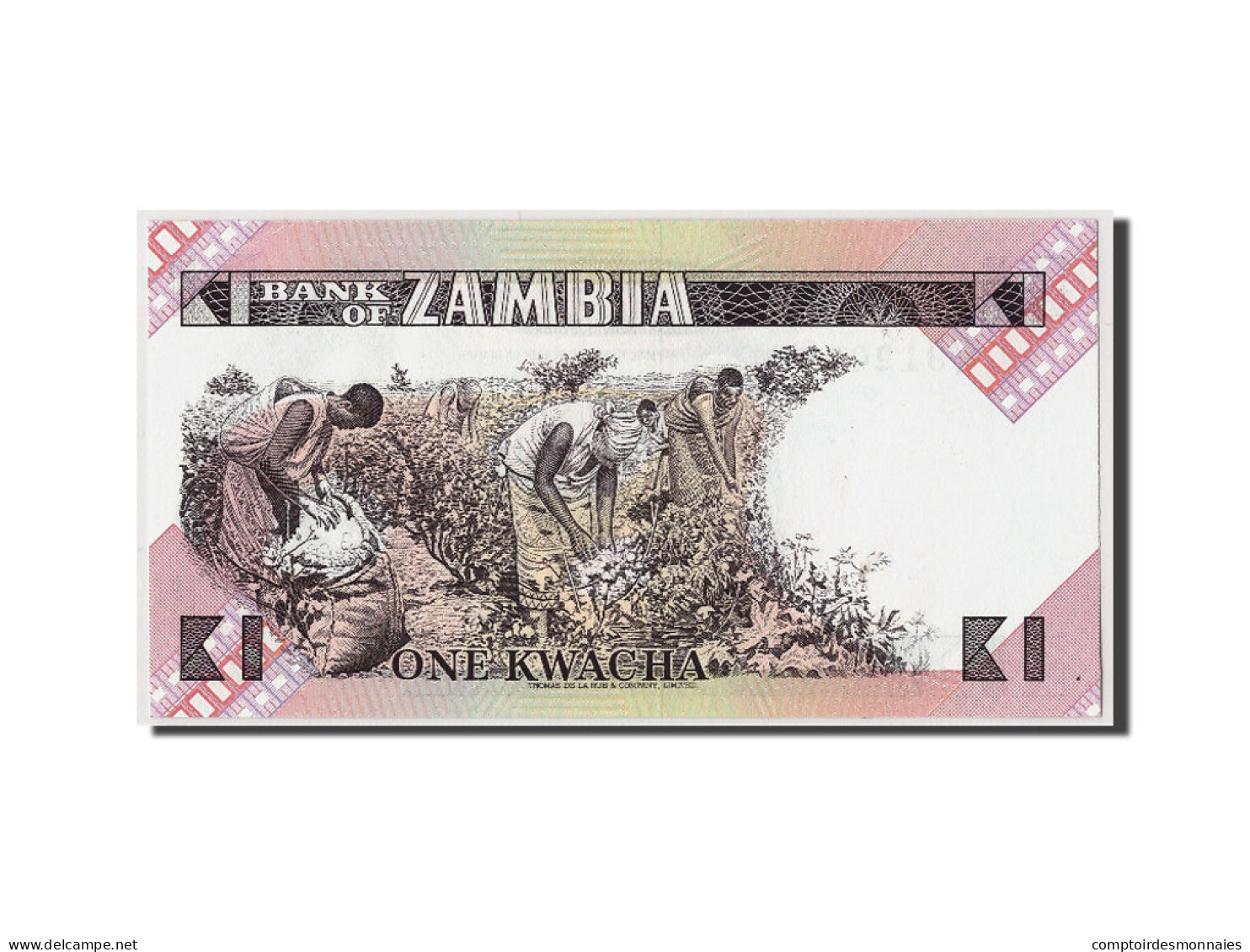 Billet, Zambie, 1 Kwacha, Undated (1980-88), Undated, KM:23b, NEUF - Zambie