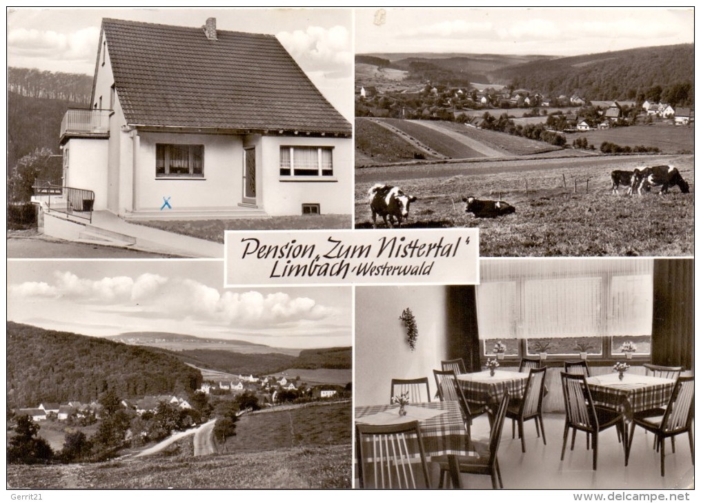 5238 HACHENBURG - LIMBACH, Pension "Zum Nistertal" - Hachenburg