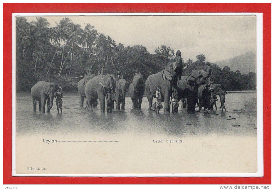 ASIE --  SRI LANKA - ( CEYLON )  -  Elephants - Sri Lanka (Ceylon)