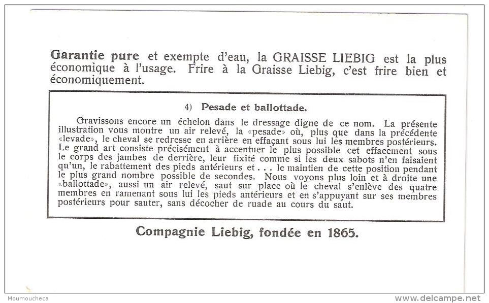 Chromo Liebig Belge : Année 1938 - Haute Ecole D'équitation - Série 276 N°4 - Liebig