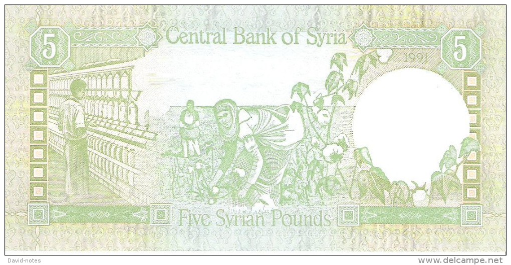 Syria - Pick 100e - 5 Pounds 1991 - Unc - Siria