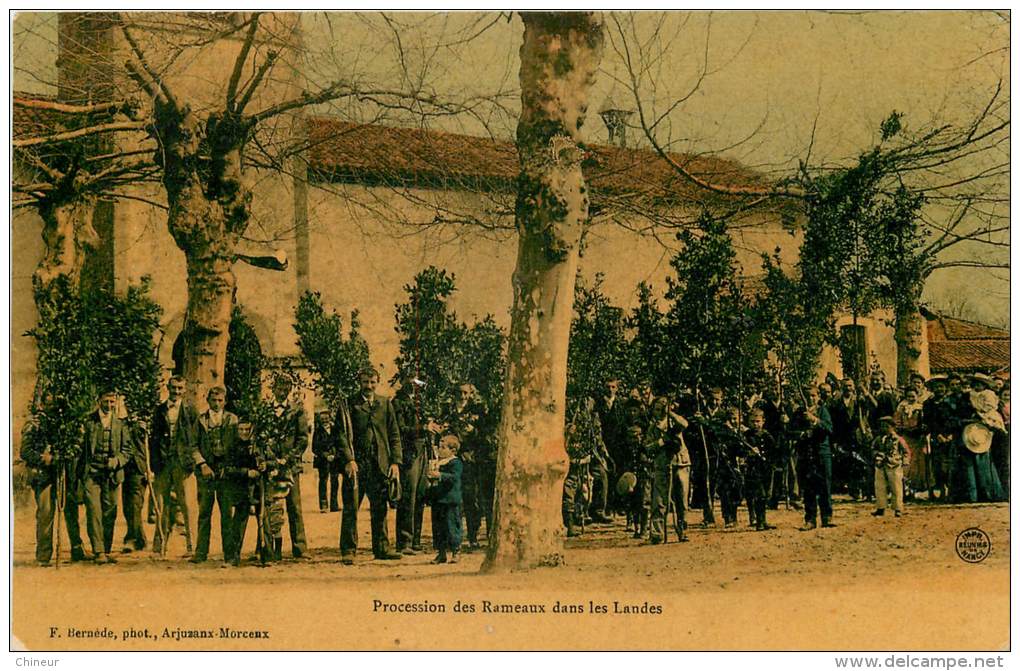 PROCESSION DES RAMEAUX DANS LES LANDES - Other & Unclassified