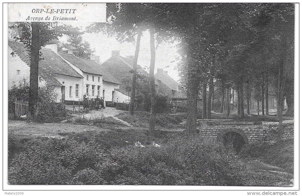 ORP LE PETIT (1350) Avenue De BRIAMONT Ou BRIALMONT ? - Orp-Jauche