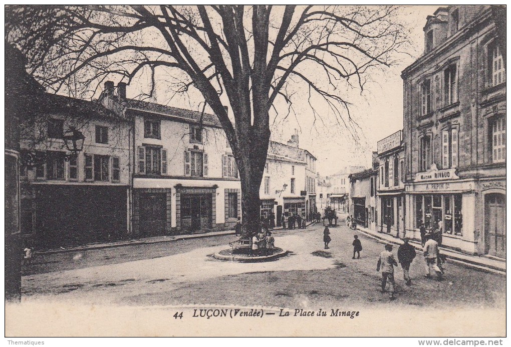 Thématiques 85 Vendée Luçon La Place Du Minage Ecrite - Lucon