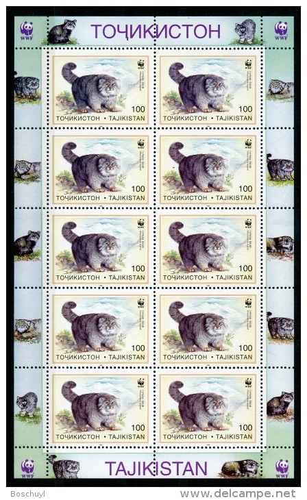 Tajikistan, 2000, WWF, Manul, MNH Sheet, Michel 94 - Tayikistán