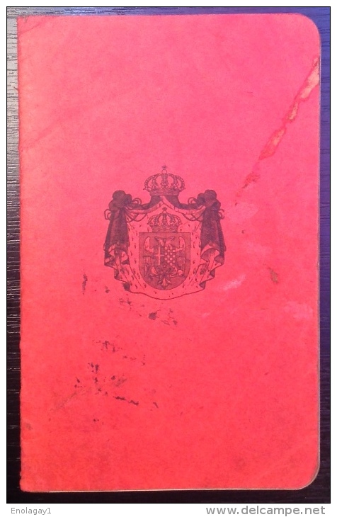 Passport Kingdom Of Serbs, Croats And Slovenes Published In Germany With One Revenue Stamp (207.) - Historical Documents