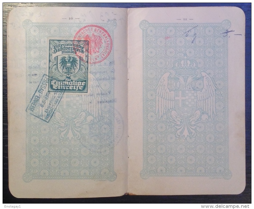 Passport Kingdom of Serbs, Croats and Slovenes published in Germany with one revenue stamp (207.)