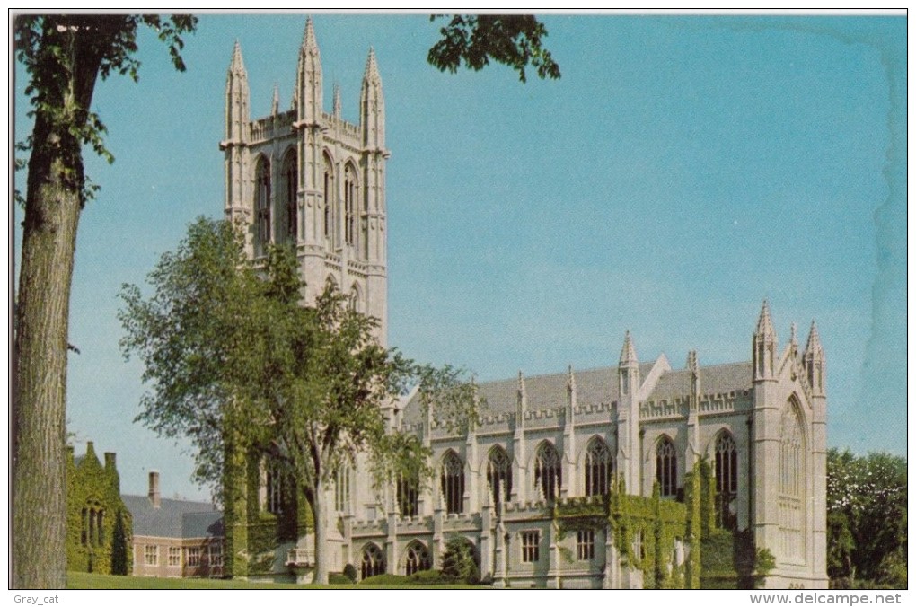 USA, CHAPEL AT TRINITY COLLEGE, HARTFORD, CONNECTICUT, Unused Postcard [16711] - Hartford