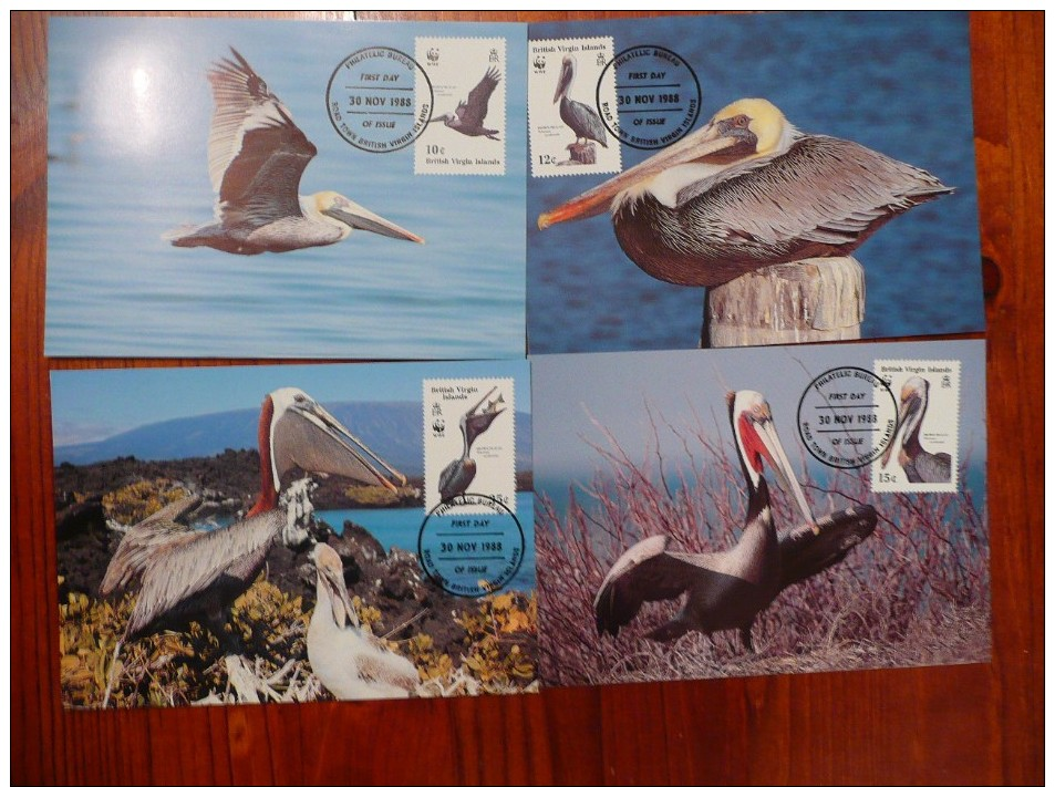 WWF British Virgin Islands Britisch Jungfern Inseln  Brown Pelican Braune Pelikan 1988 CM MC Carte Maximum MAximumkarte - Maximum Cards