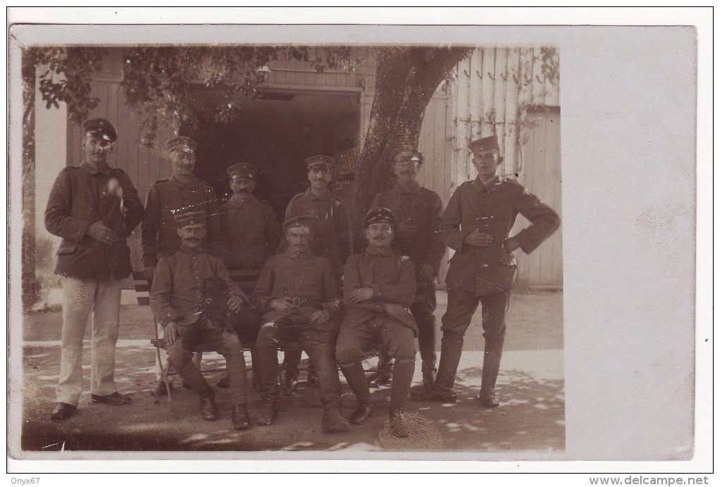 Carte Photo Militaire Allemand Groupe De Soldats-Soldaten-Chien-Animaux- A SITUER A LOCALISER ?? - Personen